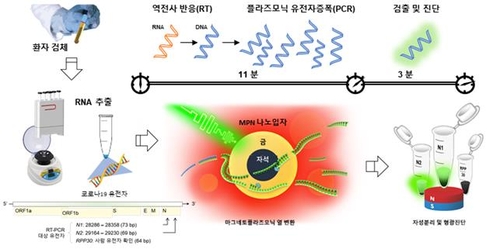 "17분 내 코로나19 현장진단"…나노물질 활용 초고속 PCR 개발(종합)