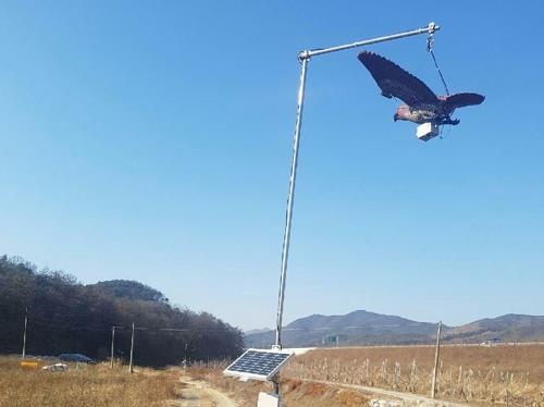 '서해안→내륙' 확산유형 깨졌다…산발적으로 터지는 AI