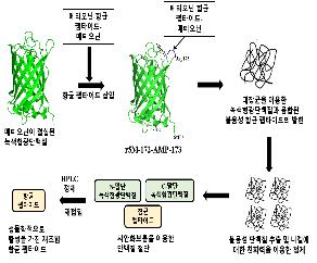 젖소·돼지 항생제 대체 치료제 대량생산기술 개발