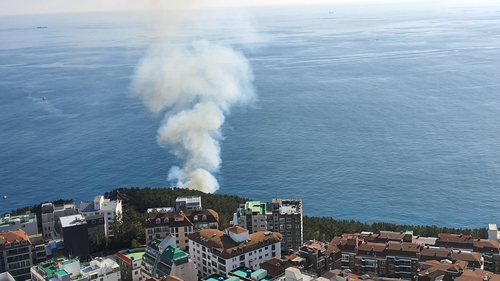 산불 낸 해운대 블루라인 파크…"원상 복구하고 책임 추궁해야"(종합)