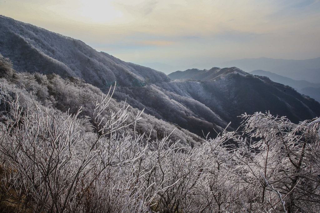 구례군, 15일부터 지리산 노고단 도로 동절기 통행 제한