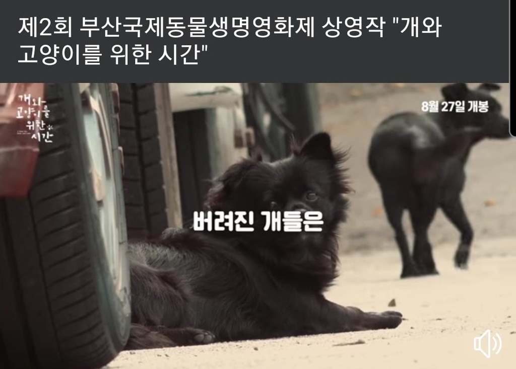 가슴 아픈 동물을 위해…부산 국제동물생명영화제 열려