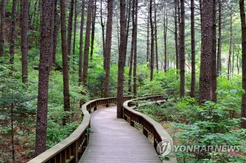 보훈처-산림청, 국가유공자 '산림치유' 손잡았다