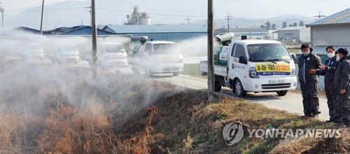 청주·진천 철새도래지서 조류인플루엔자 바이러스 검출