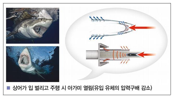 '상어 아가미' 모양 터널 후드 개발…터널진입 소음 80% 저감