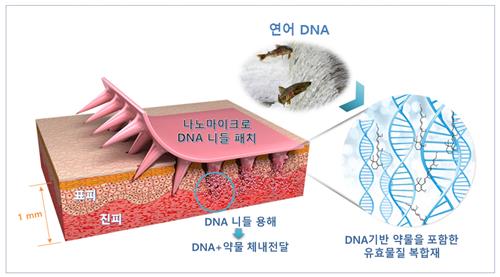 기계연 올해 최우수 성과에 '통증 없이 붙이는 주사'