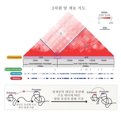 KAIST·생명연, 400여개 인체 3차원 암 게놈 지도 구축