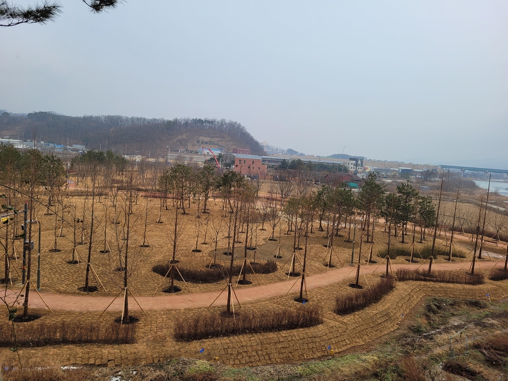 용인시, 경안천 도시숲 1단계 조성 완료…축구장 3배