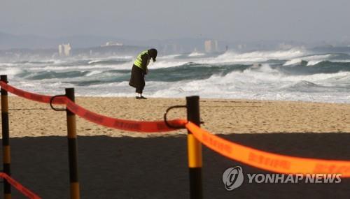 강릉시 도깨비 촬영지·동네 해맞이 명소까지 폐쇄