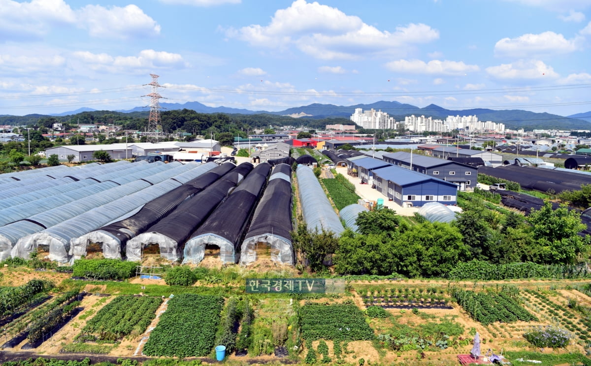 [2021 경제정책] 대토보상권 리츠 출자땐 양도세 30%까지 감면