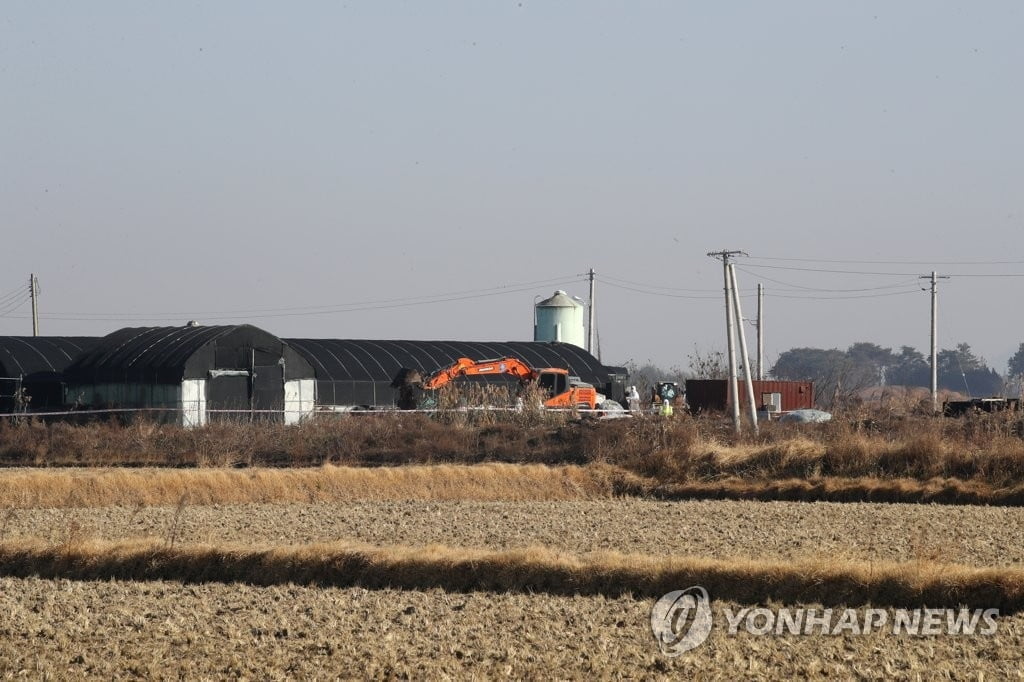 조류인플루엔자 확산 비상…전국 12건 항원 검출