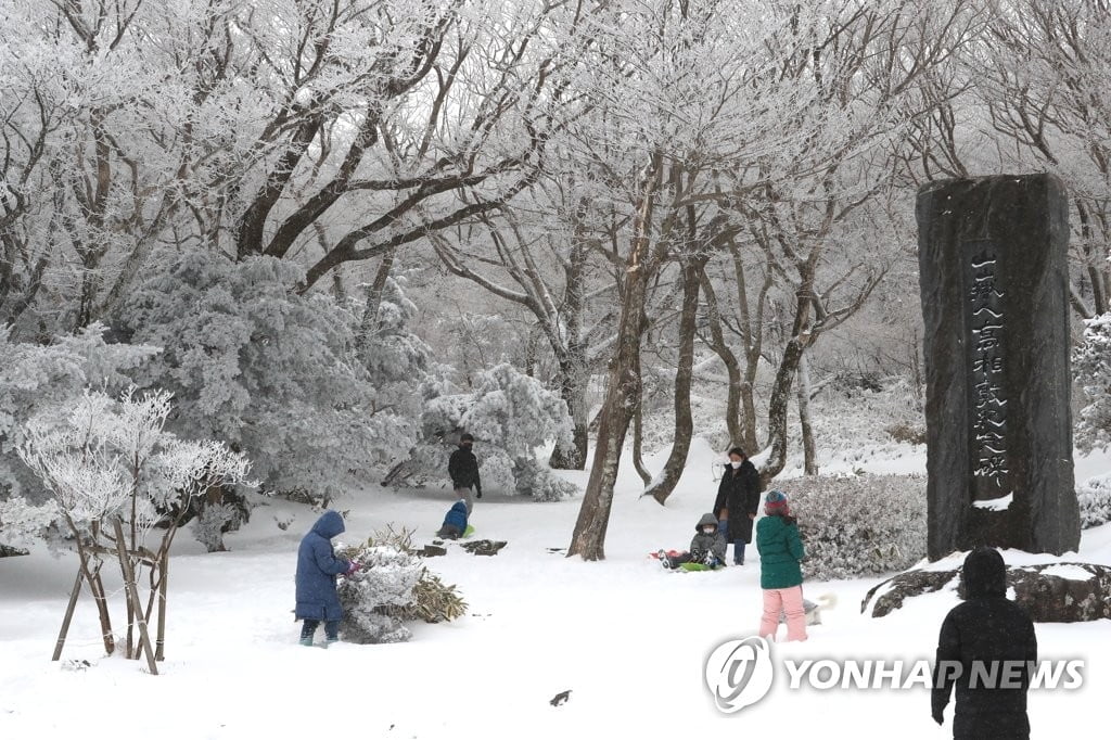 제주 한라산 최고 101.4㎝ 눈…산간도로 운행 월동장비 갖춰야