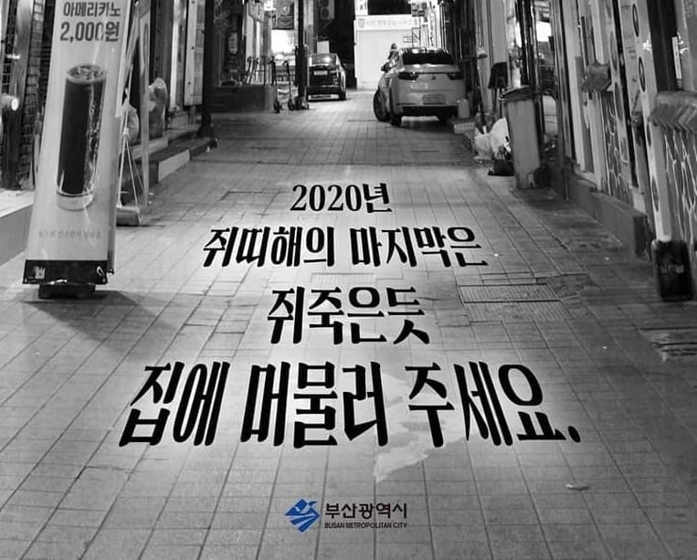 "쥐 죽은 듯 집에"…부산시, 황당 방역 안내문 논란