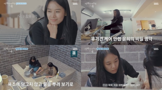 '어쩌개' 조윤희/사진=SBS '어바웃펫-어쩌다 마주친 그 개' 영상 캡처