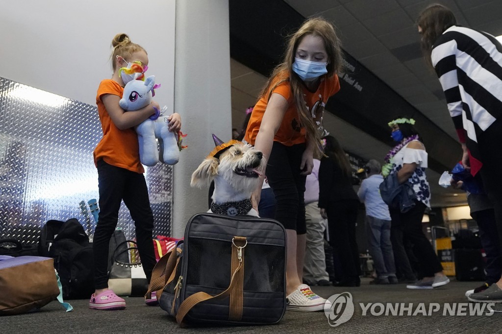 영국, 내년부터 애완동물과 EU 여행시 보건 증명서 필요