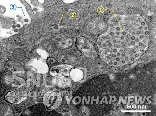 환경보건시민센터 "올해 가장 중요한 환경뉴스는 코로나19"