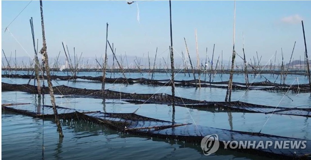 '수산식품 수출 1위' 김 산업 지원근거 갖춰…전용법률 입법