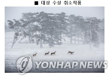 제주국제사진공모전 대상 작품 합성 판정…수상 취소