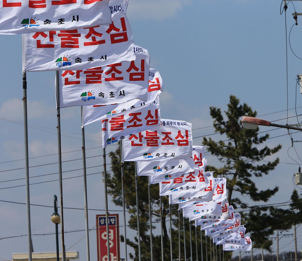 양양 등 강원 6곳 건조경보…태백 등 4곳 건조주의보