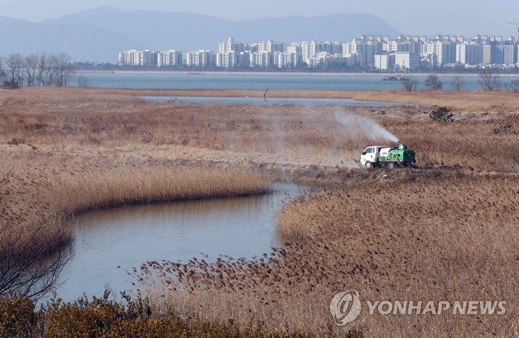 조류인플루엔자 전국 동시다발 확산에 부산도 긴장