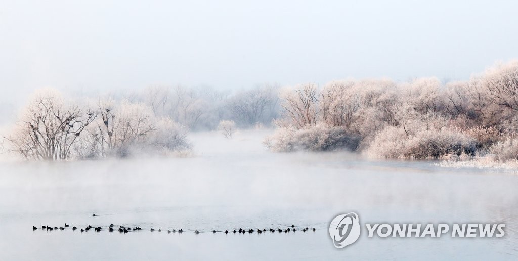 '한국 대표 겨울 비경' 소양강 상고대…올해는 초라해질 듯