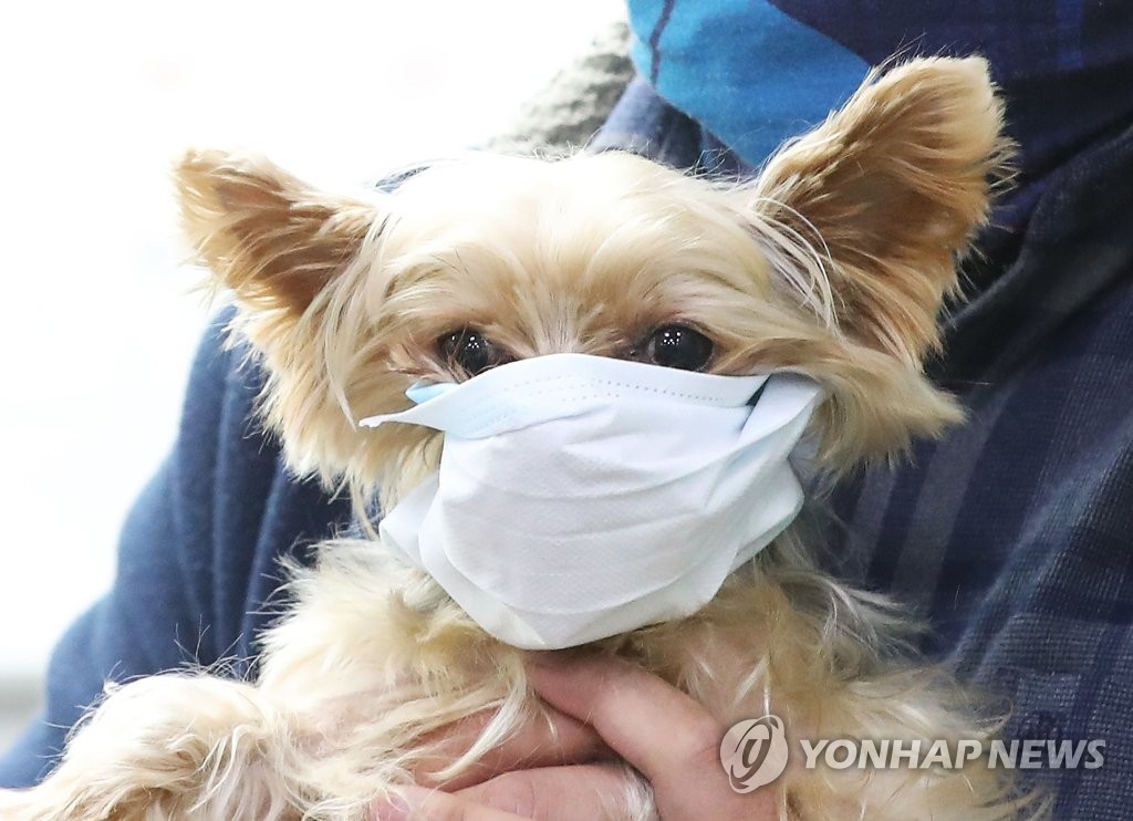 반려견 진료, 위·장염 빈번…보험금 지급은 슬개골이 가장 많아