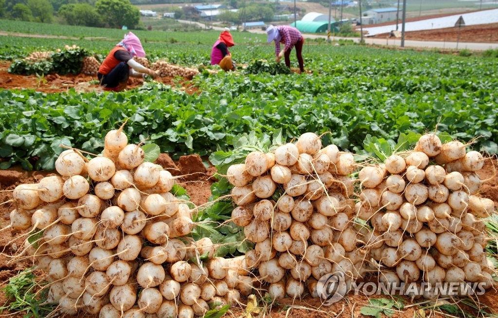 충남도, 연말까지 농어민수당 2차분 632억원 지급