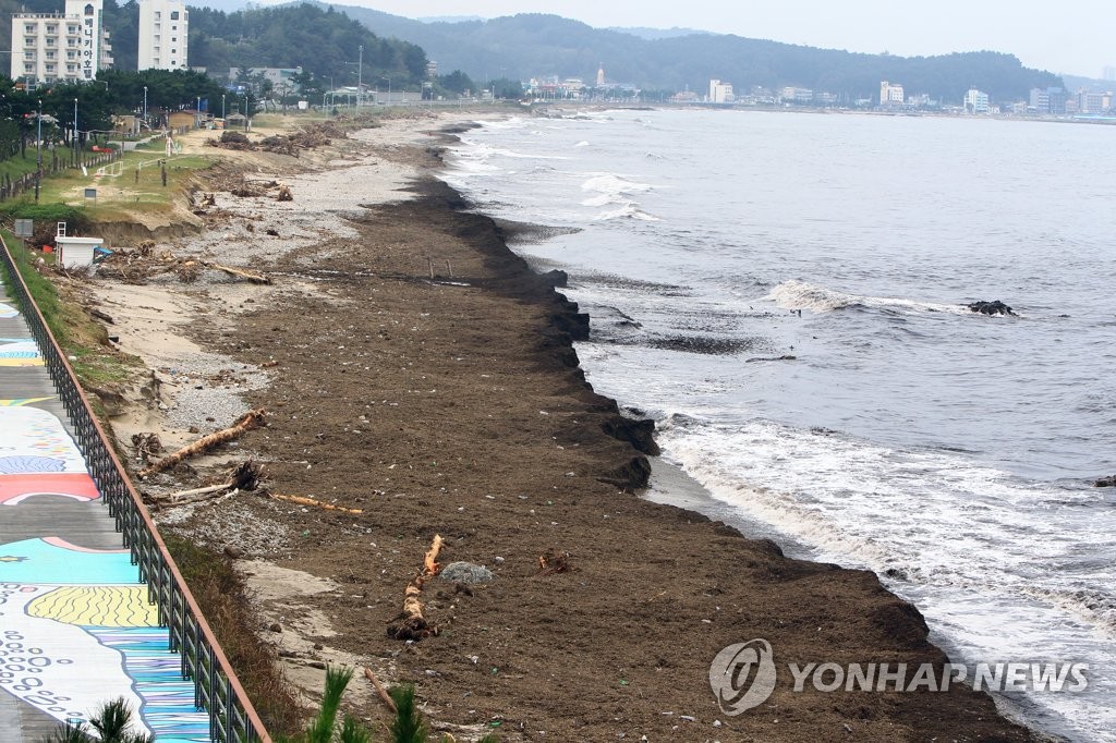 내일부터 해안폐기물 지자체장이 수거 책임…'해양쓰레기 예방'