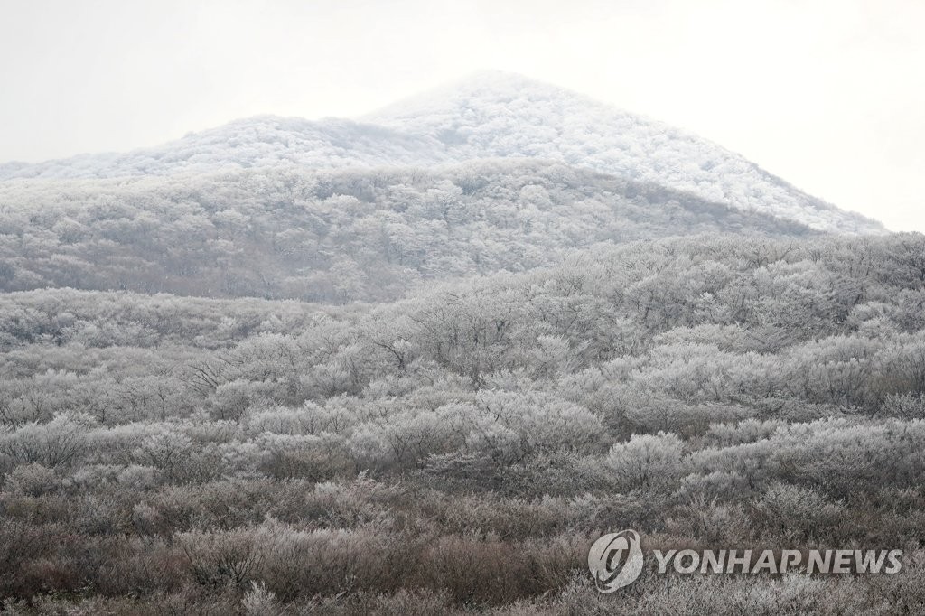 "첫눈 내렸나요?"…'맨눈'으로 재는 한라산 적설량 정확도는?(종합)