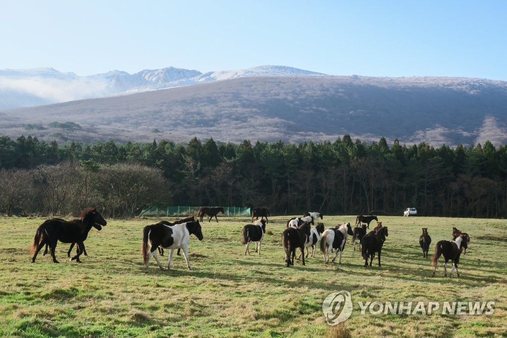 제주 대체로 맑음…낮 최고기온 11∼14도