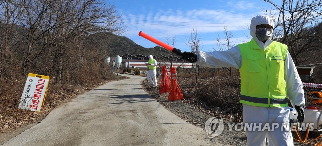 전국 곳곳 야생조류 AI 항원 10건 검출…고병원성 조사 중