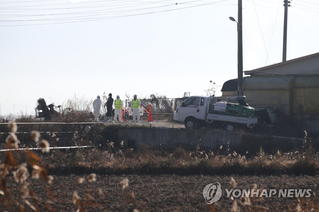 영암 AI발생 인근 농가 54곳 모두 음성…의심신고도 없어