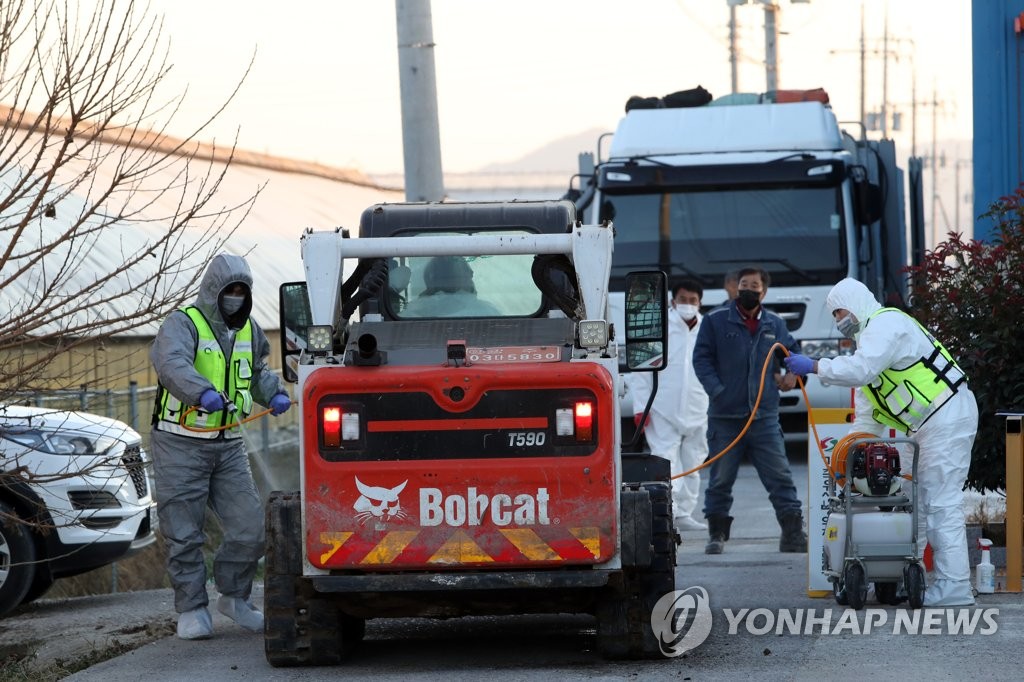 또 나온 고병원성 AI…전남지역 야생조류 서식지 주변 '초긴장'