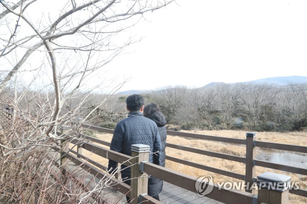 제주도 산지에 대설주의보…해안 지역 올겨울 첫눈 관측(종합)