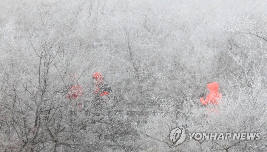 전국이 얼었다…강원 최저 -23.5도·남부도 영하권