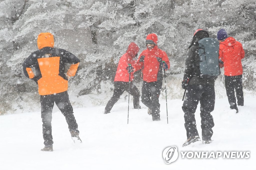 제주도 산지 대설특보 이틀째…한라산 최고 38㎝ 눈