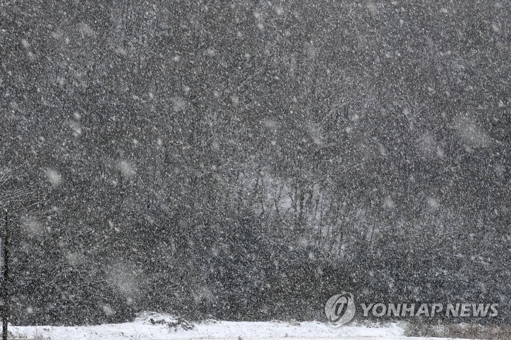 전남 서해안 대설특보…내일까지 최고 15㎝ 예보