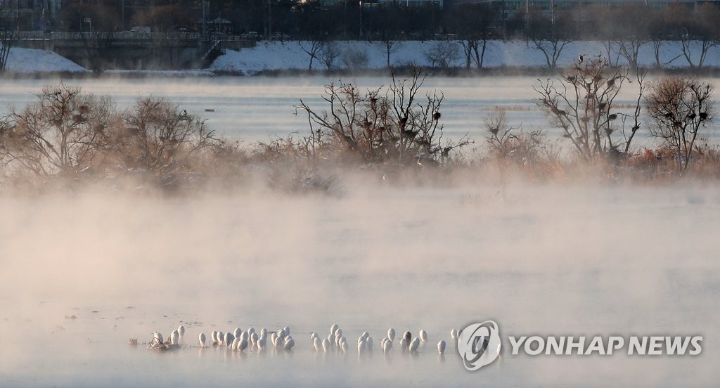전국이 얼었다…강원 최저 -23.5도·남부도 영하권