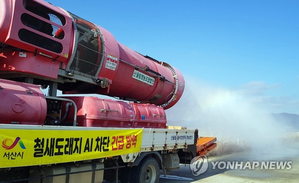 전북 남원 육용오리 농장서 조류인플루엔자 항원 검출