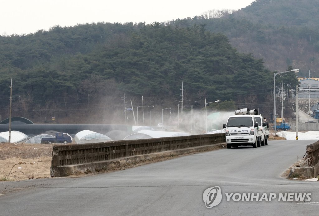 논산 육계농장 닭에서 고병원성 의심 AI 항원 검출