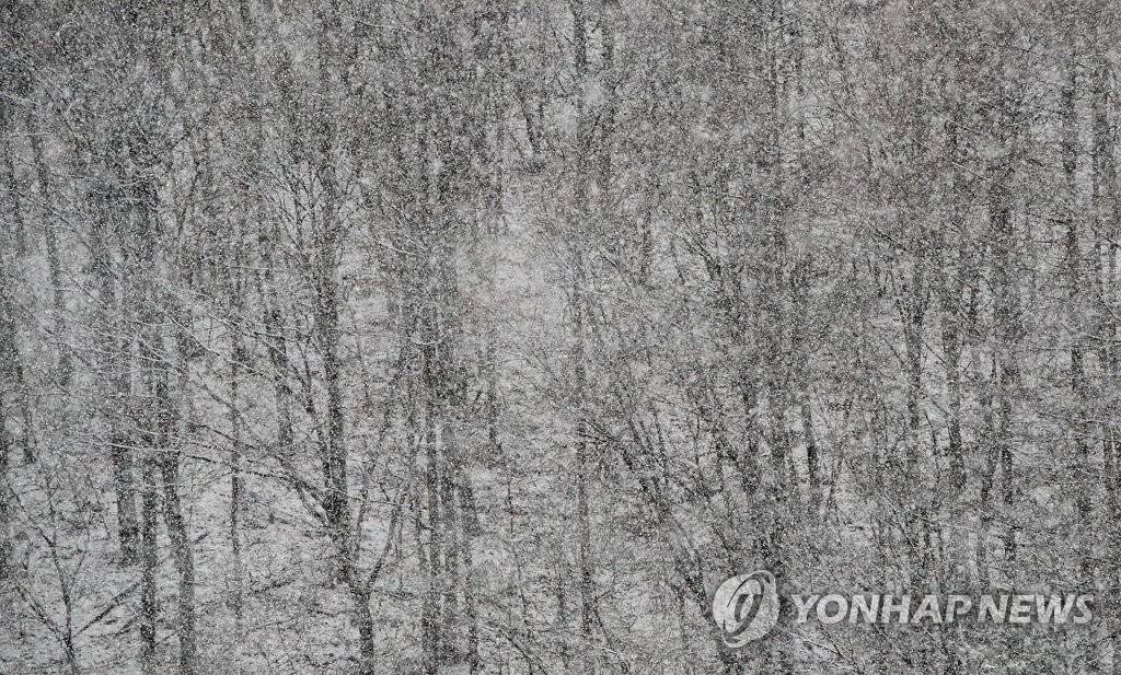 '춥다 추워' 눈 내리는 전북…낮에도 영하권