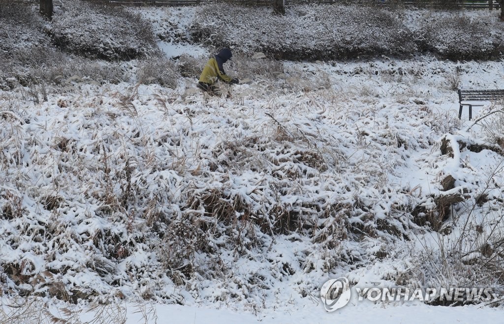 정읍 23㎝·부안 20㎝ 눈…전북 탐방로·도로·항로 통제