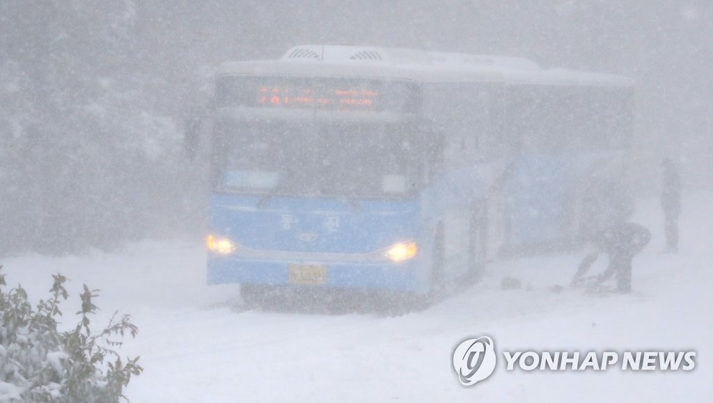 한라산 폭설에 매서운 눈바람까지…제주 항공편 결항·지연 속출