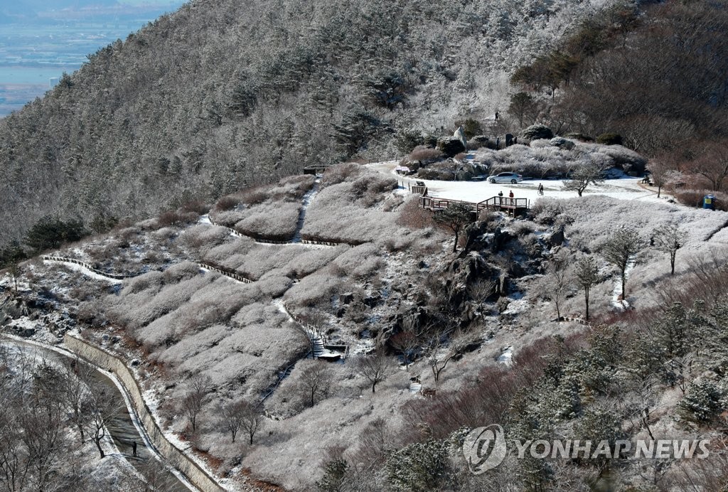 [픽! 부산] '눈 보기 힘든 부산에 설경이…' 눈꽃 뒤로 펼쳐진 바다