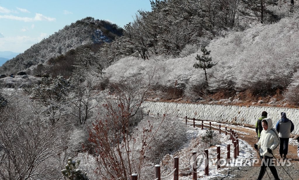 [픽! 부산] '눈 보기 힘든 부산에 설경이…' 눈꽃 뒤로 펼쳐진 바다