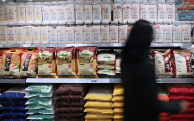 정부 '쌀값 대책' 발표 1주 만에…가격 사상 최고치 돌파