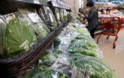 [속보] 11월 소비자물가 0.6%↑…농산물 13.2% 올라
