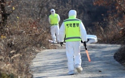 [속보] 영암 육용오리 농장 고병원성 AI확진…전남 3년만에 발생