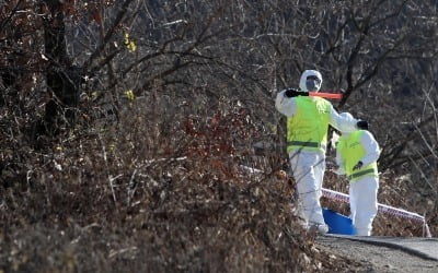 상주 AI 확진에 5개 권역 일시이동중지…"전국 확산 위험"[종합]