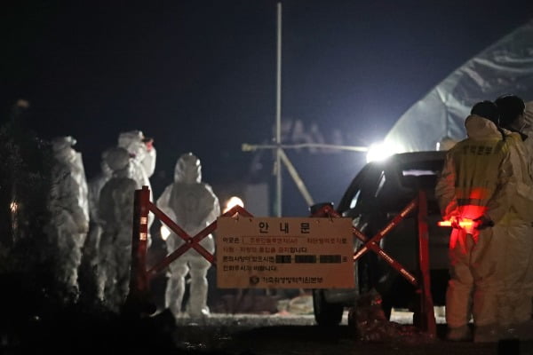 지난 5일 오후 전남 영암군 시종면 육용 오리 농장에서 고병원성 조류인플루엔자(AI) 확진이 나와 방역 당국 관계자가 예방적 살처분을 준비하고 있다. 방역 당국은 해당 농장 출입을 통제하고 키우는 오리 9천800마리를 살처분하며, 반경 3㎞ 이내 농장 10곳 49만3천마리에 대한 예방적 살처분도 들어갔다/사진=연합뉴스